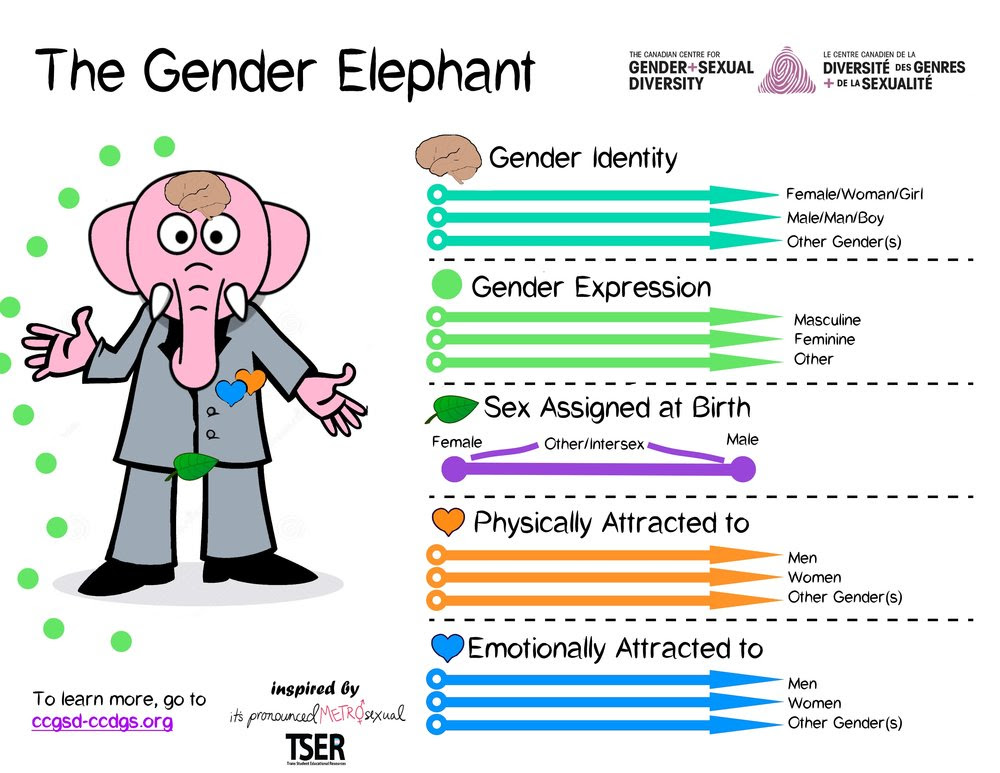 Gender Elephant