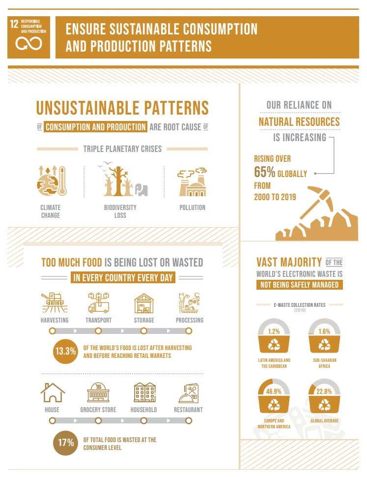 SDG 12 infographic