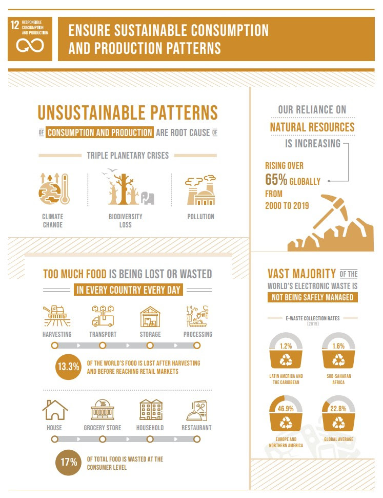 Small steps to big leaps: First Balfour’s role in SDG 12