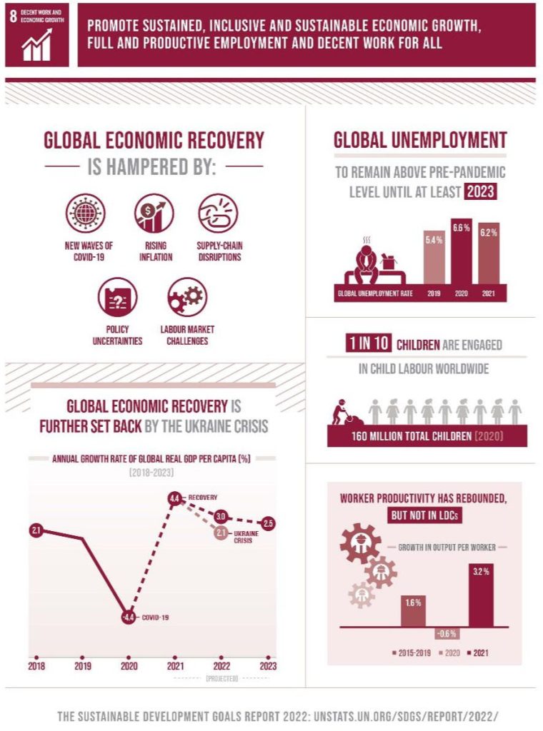 SDG 8 infographic