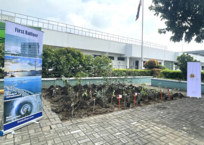 From Concrete to Canopy: A new pocket forest rises at First Balfour