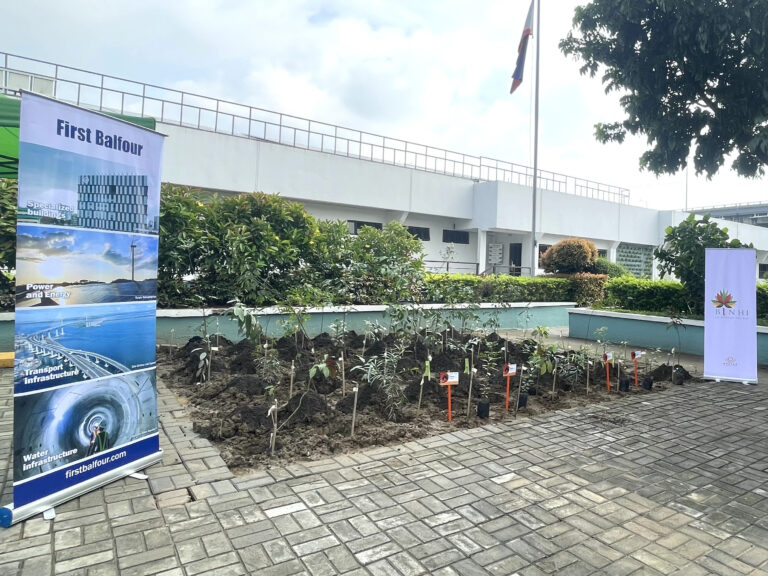 From Concrete to Canopy: A new pocket forest rises at First Balfour